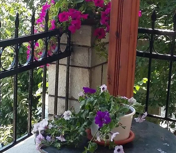 公寓 Anna 新马尔马拉斯